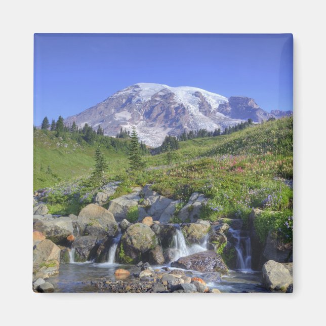 Imã EUA, Washington, Mt. Rainier NP, Mt. Rainier e 2 (Frente)