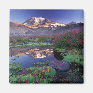 Imã EUA, Washington, Mt. Rainier NP, nascer do sol,