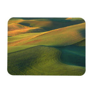 Ímã EUA, Washington, Palouse, Condado de Whitman