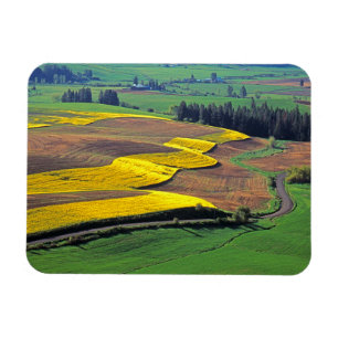 Ímã EUA, Washington, Palouse, Whitman County 2