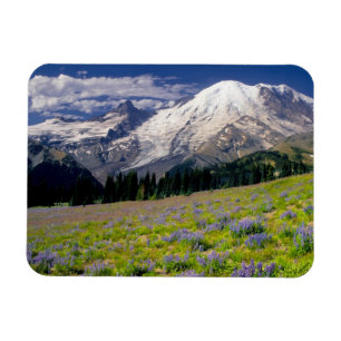 Ímã EUA, Washington, Parque Nacional Mt. Rainier.