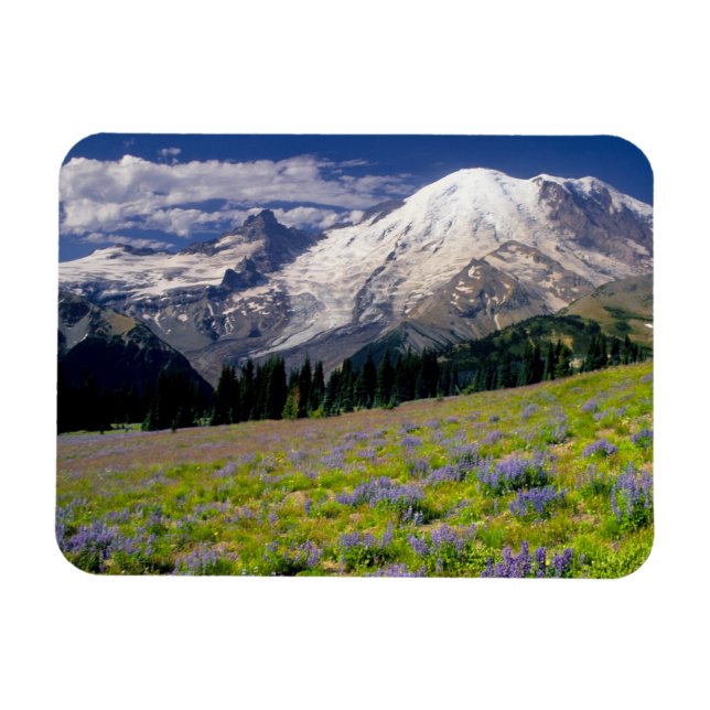 Ímã EUA, Washington, Parque Nacional Mt. Rainier. (Horizontal)