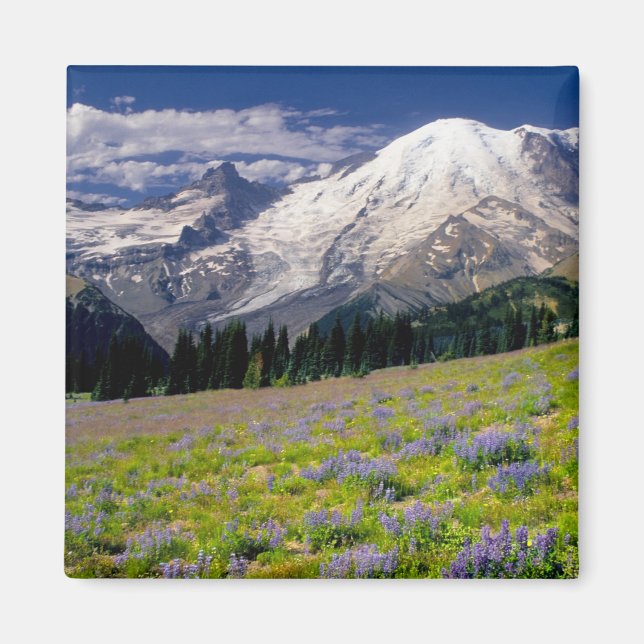 Imã EUA, Washington, Parque Nacional Mt. Rainier. (Frente)