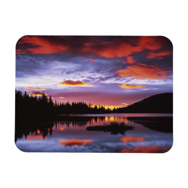 Ímã EUA, Washington, Parque Nacional Mt. Rainier, (Horizontal)