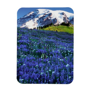 Ímã EUA, Washington, Parque Nacional Mt. Rainier. Mt.