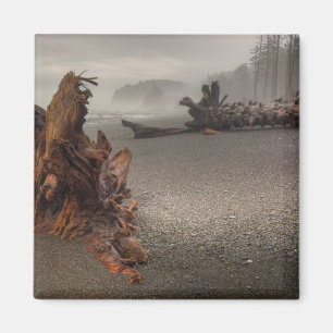 Imã EUA, Washington, Parque Nacional Olimpiadas, Rialt