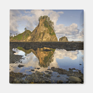 Imã EUA, Washington, Parque Nacional Olímpico. A