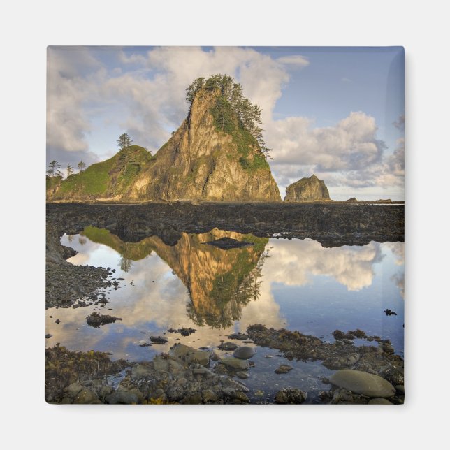 Imã EUA, Washington, Parque Nacional Olímpico.  A (Frente)