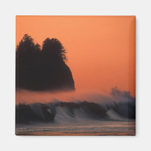 Imã EUA, Washington, Parque Nacional Olímpico, Mar