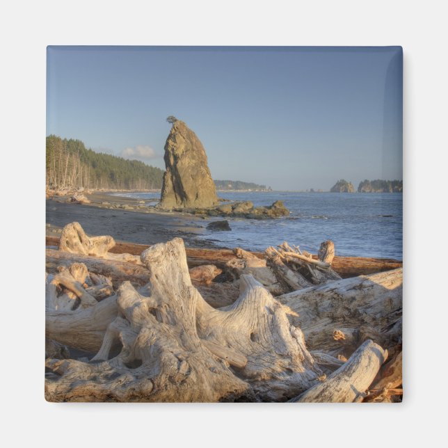 Imã EUA, Washington, Parque Nacional Olímpico, Rialto (Frente)