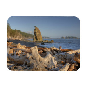 Ímã EUA, Washington, Parque Nacional Olímpico, Rialto