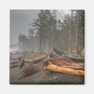 Imã EUA, Washington, Parque Nacional Olímpico, Rialto