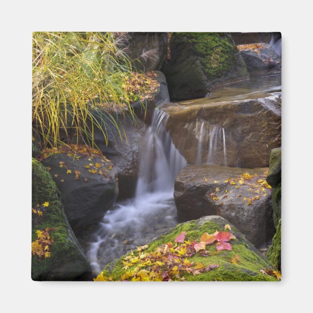 Imã EUA, Washington, Seattle (Frente)