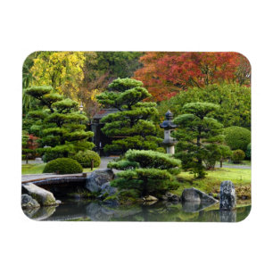 Ímã EUA, Washington, Seattle, Arboreto, Japonês
