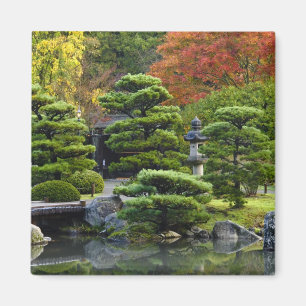 Imã EUA, Washington, Seattle, Arboreto, Japonês