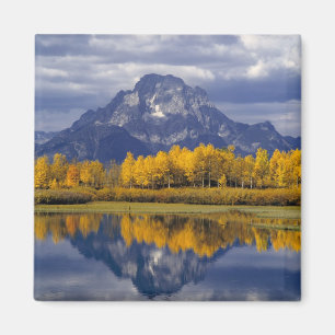 Imã EUA, Wyoming, Grand Teton NP. Contra o