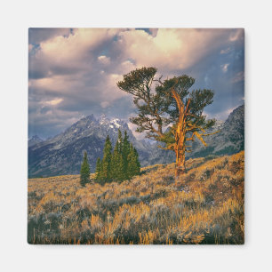 Imã EUA, Wyoming, Grand Teton NP. O nascer do sol cump