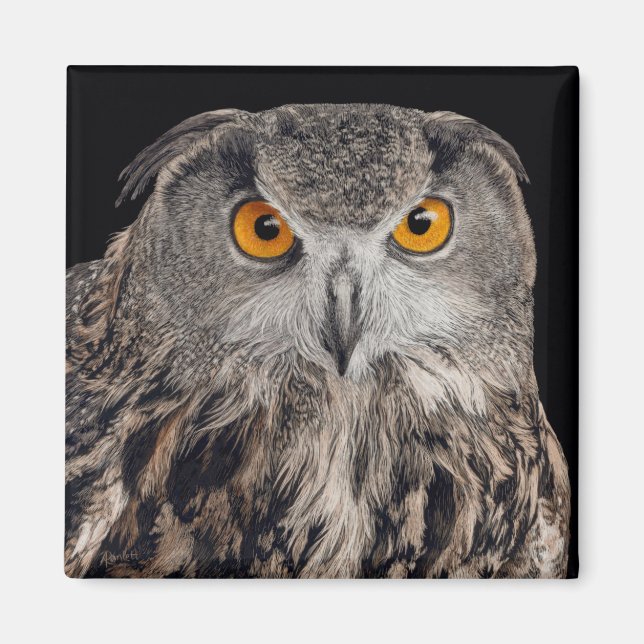 Imã Eurasian Eagle Owl Magnet (Frente)