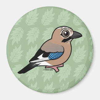 Imã Eurasian Jay