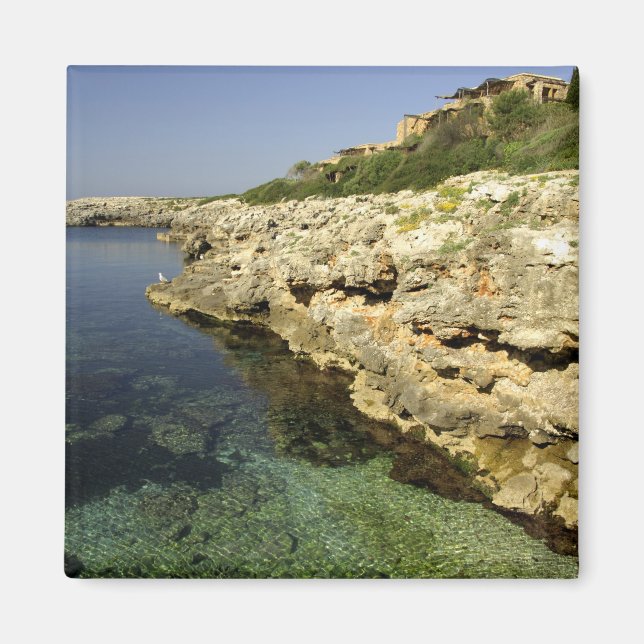 Imã Europa, Espanha, Minorca (também conhecida como Me (Frente)
