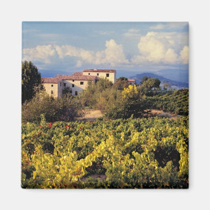 Imã Europa, França, Bonnieux. Vinhas cobrem o