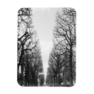 Ímã Europa, França, Paris. Árvores de inverno, Marco