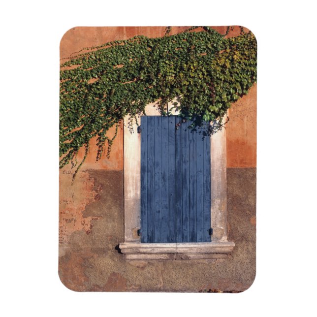 Ímã Europa, França, Roussillon. A hera cobre a parede (Vertical)