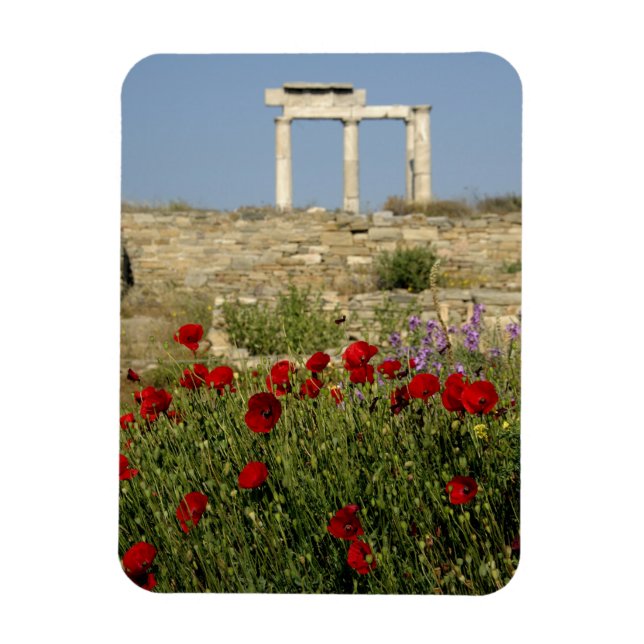 Ímã Europa, Grécia, Cíclades, Delos. Arruínas de colun (Vertical)