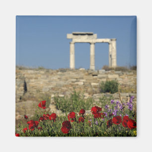Imã Europa, Grécia, Cíclades, Delos. Ruínas de coluna.