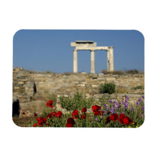 Ímã Europa, Grécia, Cíclades, Delos. Ruínas de coluna.