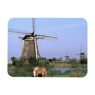 Ímã Europa, Holanda, Zuid Holland, Kinderdijk. 2