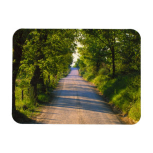 Ímã Europa, Itália, Toscana, estrada arborizada