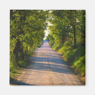 Imã Europa, Itália, Toscana, estrada arborizada