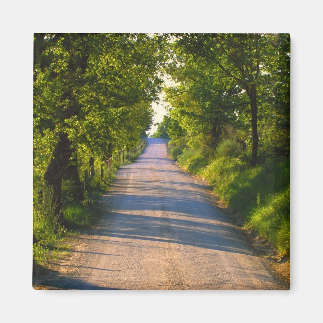 Imã Europa, Itália, Toscana, estrada arborizada (Frente)