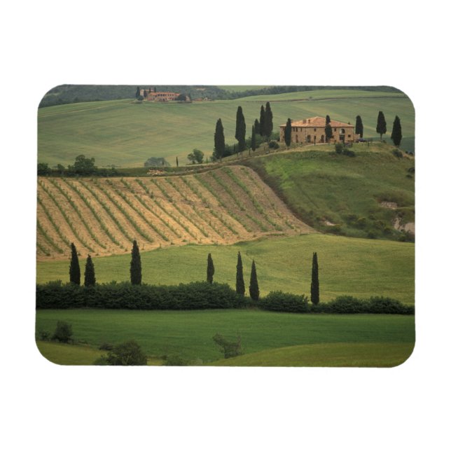 Ímã Europa, Itália, Toscana, Val d'Orcia, Toscânia (Horizontal)