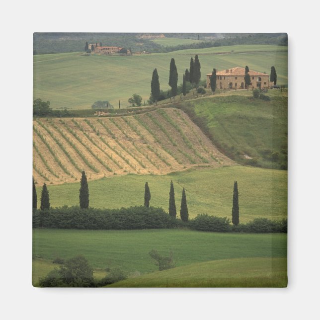 Imã Europa, Itália, Toscana, Val d'Orcia, Toscânia (Frente)