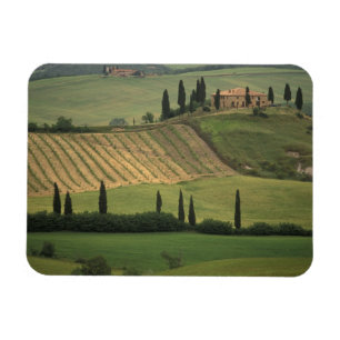 Ímã Europa, Itália, Toscana, Val d'Orcia, Toscano
