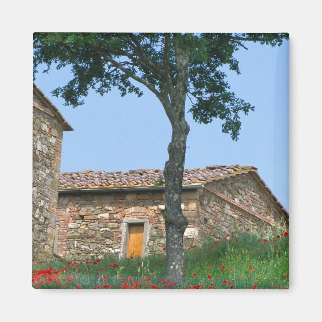 Imã Europa, Itália, Toscana, vila abandonada em (Frente)