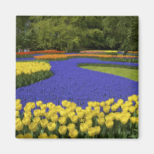 Imã Europa, Países Baixos, Holanda, Lisse, Keukenhof