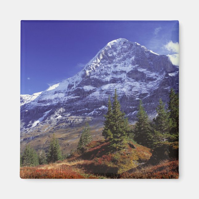 Imã Europa, Suíça, Eiger. Cores de outono abundam (Frente)