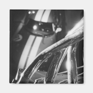 Imã Europa, Suiça, Genebra. Show Automóvel de Genebr