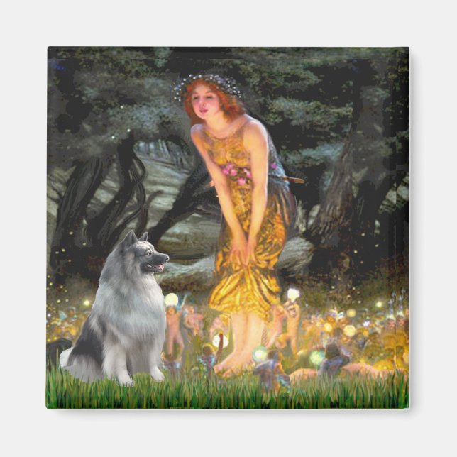 Imã Eve dos Verão - Keeshond (Frente)