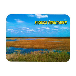 Ímã Everglades da Flórida Sawgrass, Céu e Reflexos