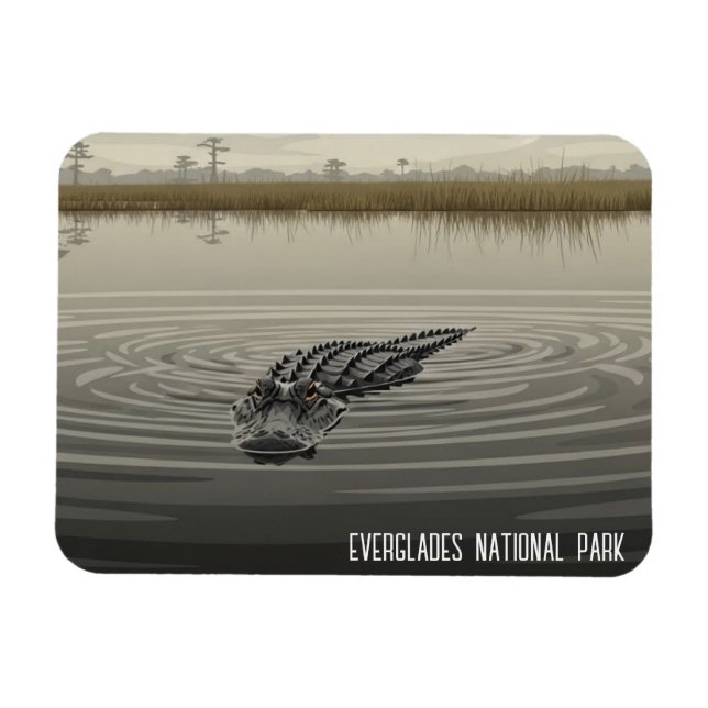 Ímã Everglades Florida Alligator Travel (Horizontal)