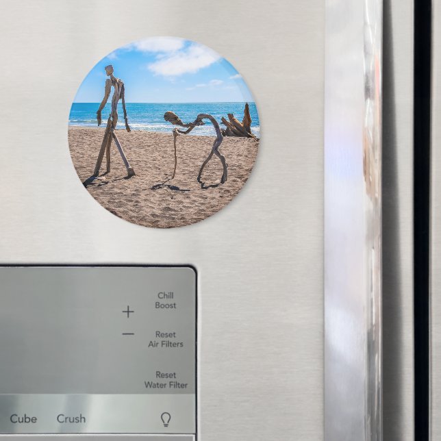 Imã Evolução (In Situ (Fridge))