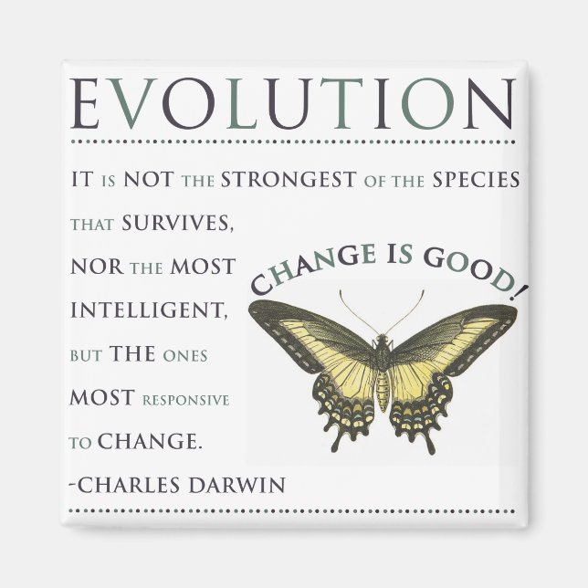 Imã Evolução (Frente)