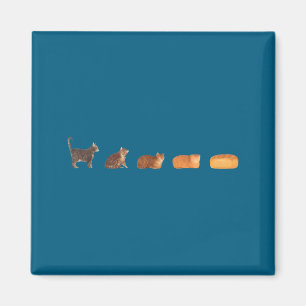 Imã Evolução do pão de gato engraçado gato mãe gatinho