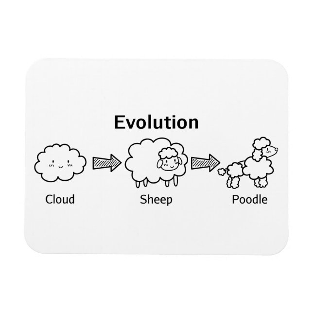 Ímã Evolução engraçada da nuvem em ovelha e poodle (Horizontal)