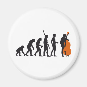 Imã evolution bass