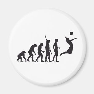 Imã evolution volleyball